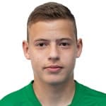 Vladyslav Krapyvtsov