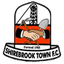 Shirebrook Town Logo