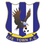 Lye Town Logo