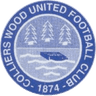 Colliers Wood United FC