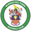 Burgess Hill Town Logo